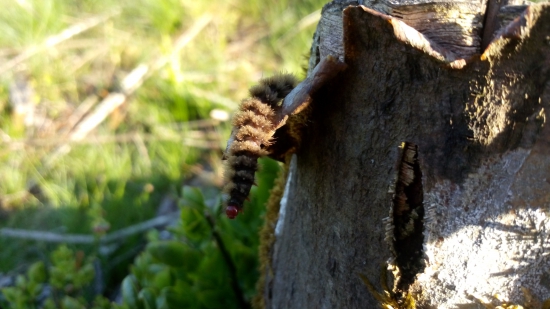 len tak si tu leziem