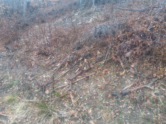 10torak najdeny na ceste prvy pohlad