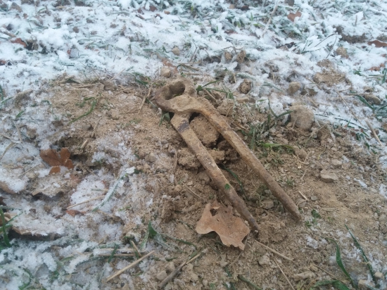 Aspon nieco ked uz nic