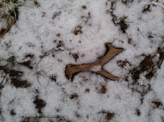 Druhy sviatok vianocny