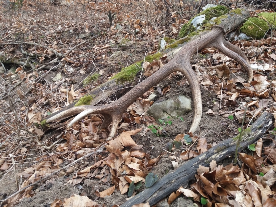 Konecne aj namna sadlo stastie