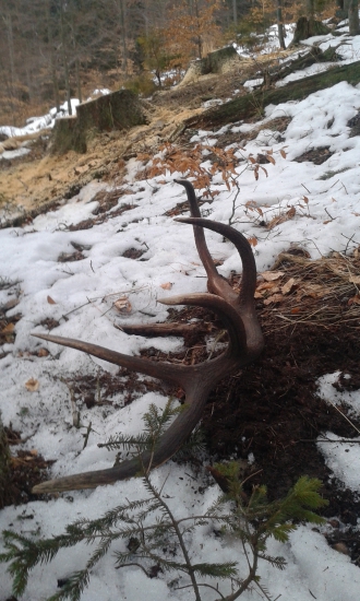 2/2018 pohlad z predu ID:332508