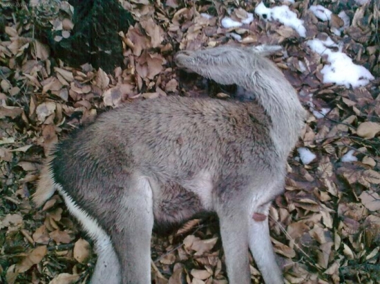 Čo sa jej mohlo stať?