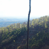Ranna panorama