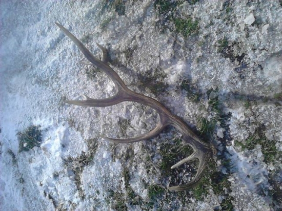 Môj prvý 18-torák. :)