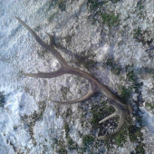 Môj prvý 18-torák. :)