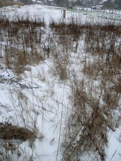 Môj druhý srnčí zhod :)