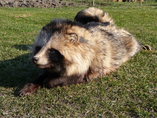 Vetřelec z pátečního rána