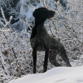 muj maly prcek(cherly z čeperaku)