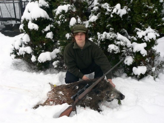 včerejši divočak (sele 33 kg)