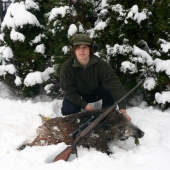 včerejši divočak (sele 33 kg)