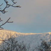 biely pohľad