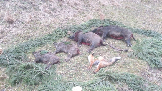 To najmenšie je moje