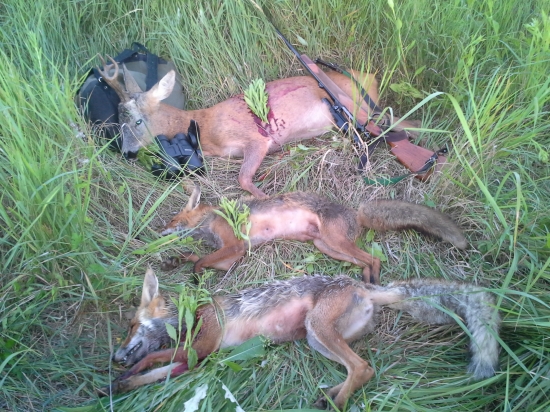 dnes mi ukraina priala