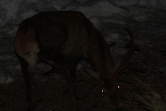 este ze mam tie parohy