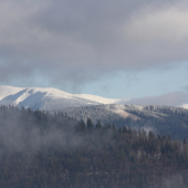 Nizke Tatry v hmle