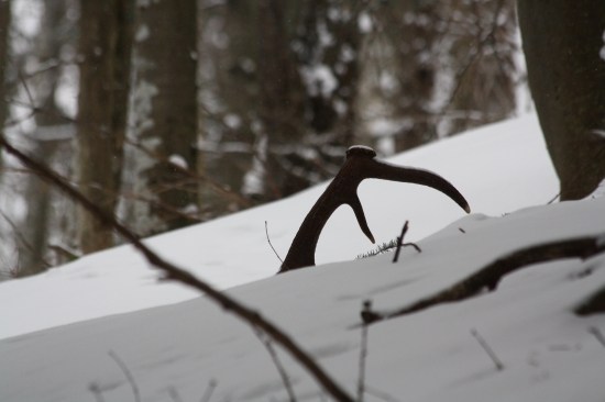 takto som ho nasiel vlani