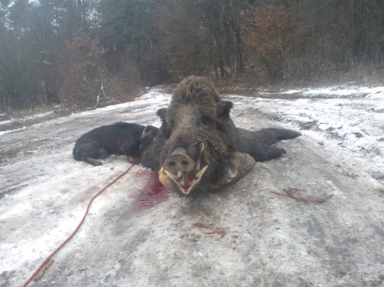 este zo spolocnej polovacky