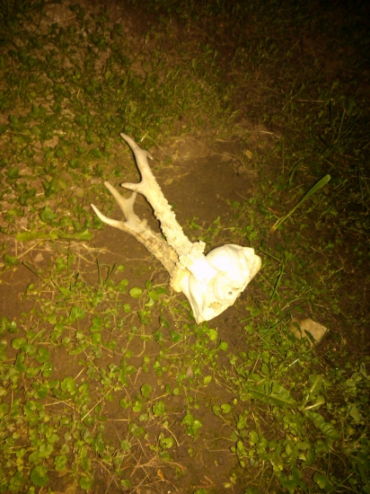 Včerajšie prekvapenie