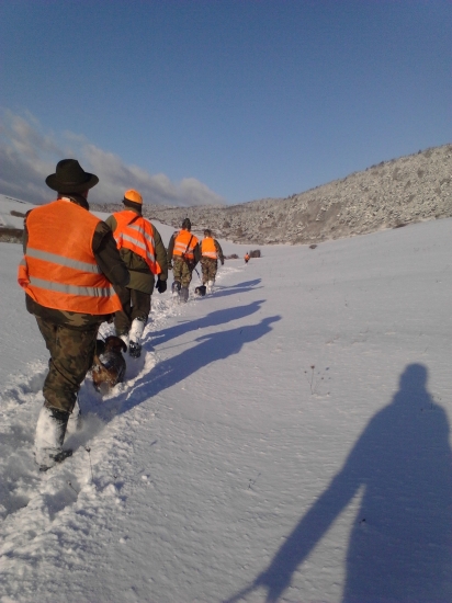 Honci na pochode :-)