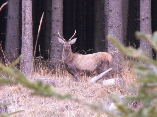 keď nevie kto je na druhej strane