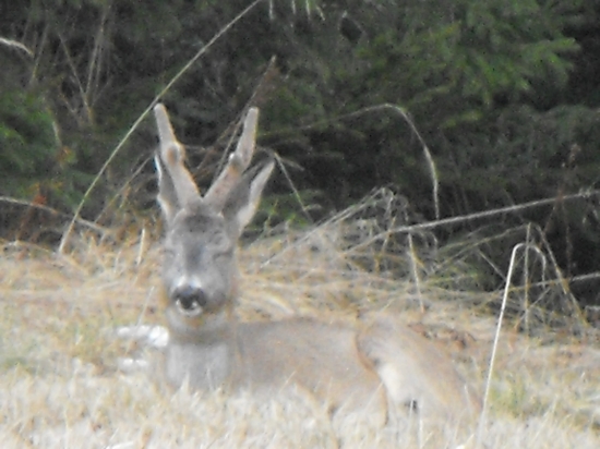 obedňajša prestávka