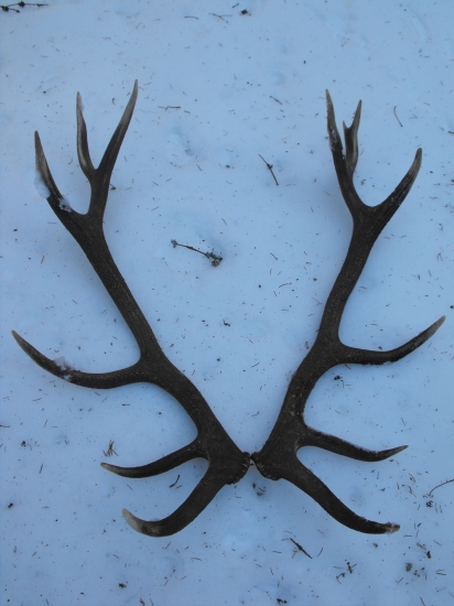 Minuloročne - 4 kg spolu