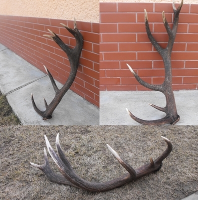 Kamarátov - 3 Kg  2013