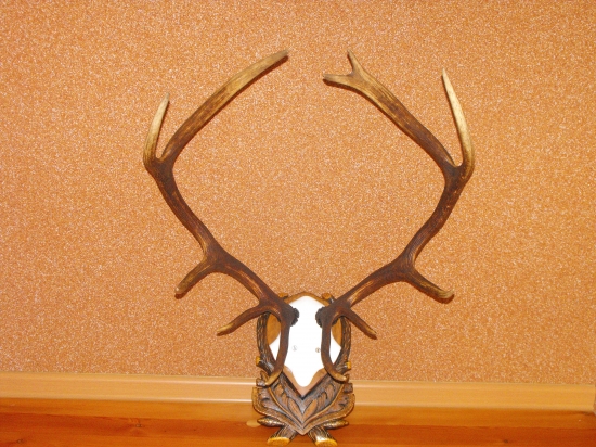 Minuloročne a upravene podla seba .