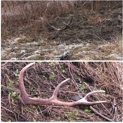 Včerajší minuloroční  .