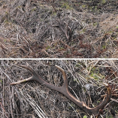 Po obede za hodinu a pol .