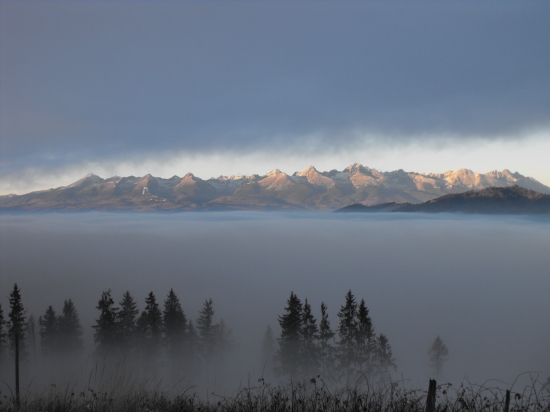 Tatry v hmle.