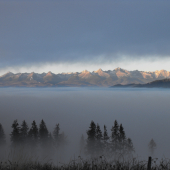 Tatry v hmle.