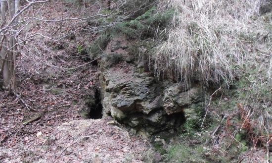 Opustena vlčia diera.