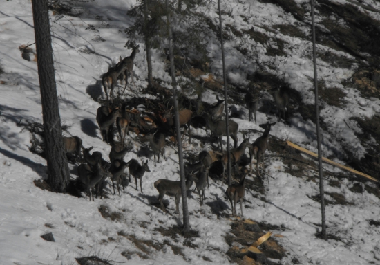 Na slniečku je najlepšie.