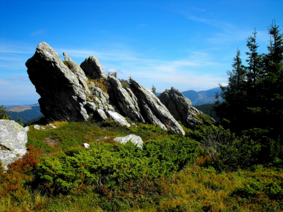 Pod  Kráľovou hoľov