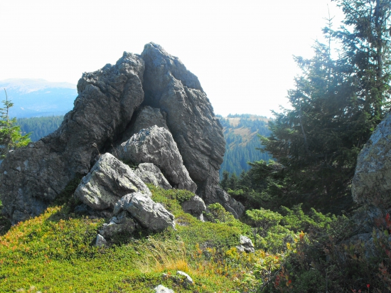 Pod  Kráľovou hoľov