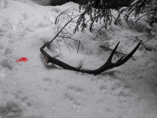 Niečo z marca  2015