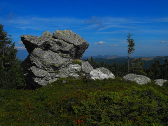 Pod  Kráľovou hoľov.