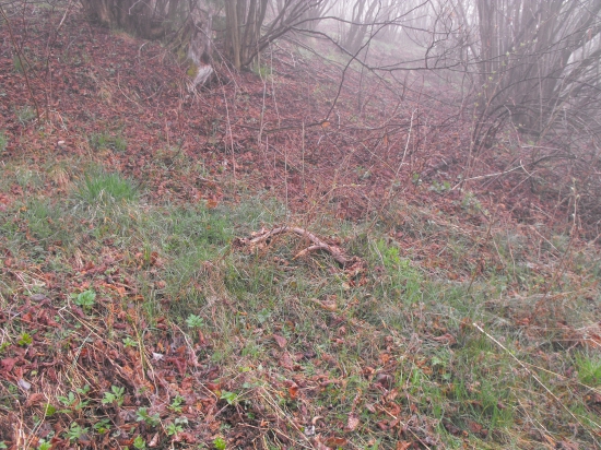 Dajú sa nájsť aj teraz.