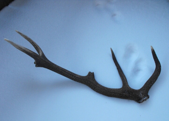 Detail zo včera Februar 2015