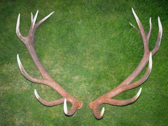 Moje najsilnejšie zhody 2017.