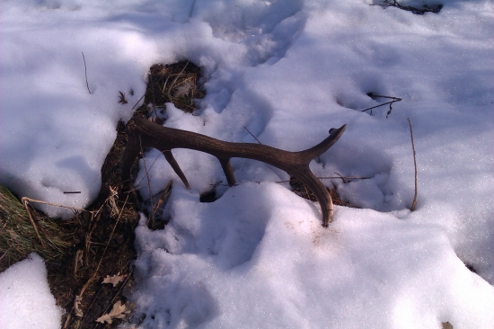 Jeden z tých pekných :o))