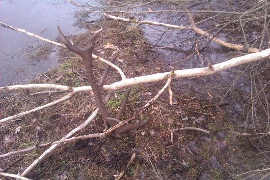 dnešný 10torák :o)