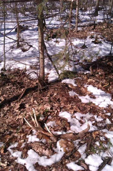 A takto si tam spokojne ležal :o)