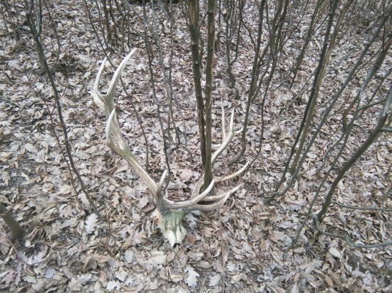 Už len toto ostalo z neho