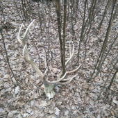 Už len toto ostalo z neho