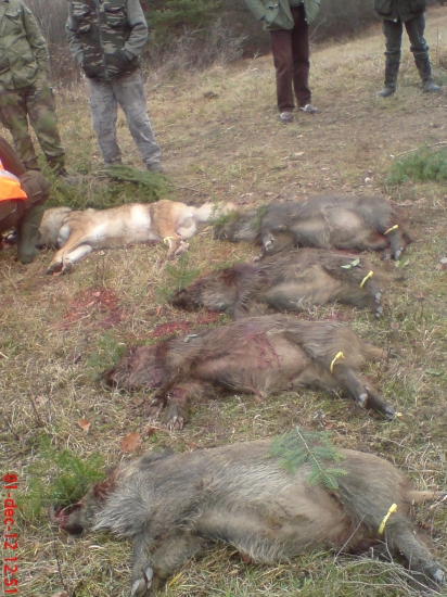 SPOLOCNA           foto 01.12.2012