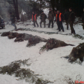 SPOLOCNA 23.12.2012
