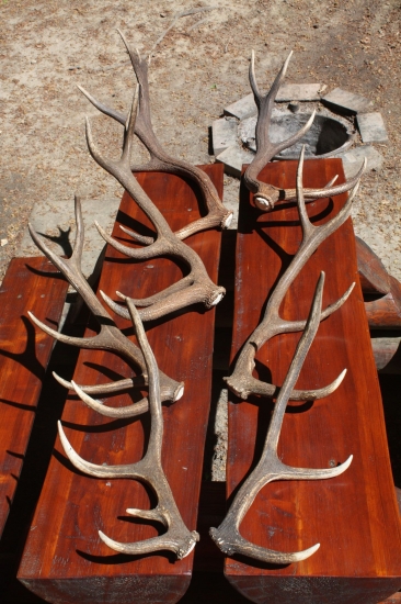 ODMENA ZA CELOROCNU STAROSTLIVOST 1.